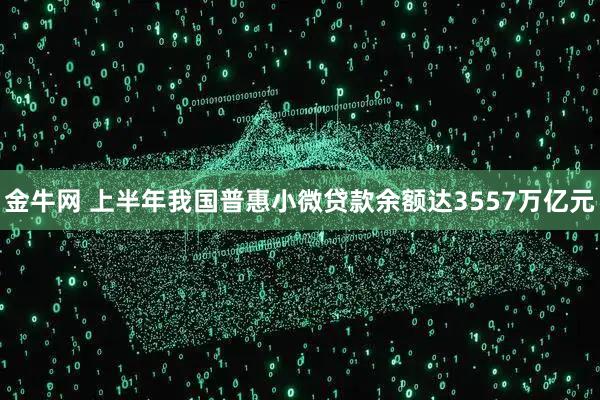 金牛网 上半年我国普惠小微贷款余额达3557万亿元