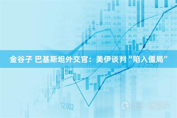 金谷子 巴基斯坦外交官：美伊谈判“陷入僵局”