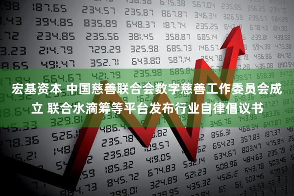 宏基资本 中国慈善联合会数字慈善工作委员会成立 联合水滴筹等平台发布行业自律倡议书