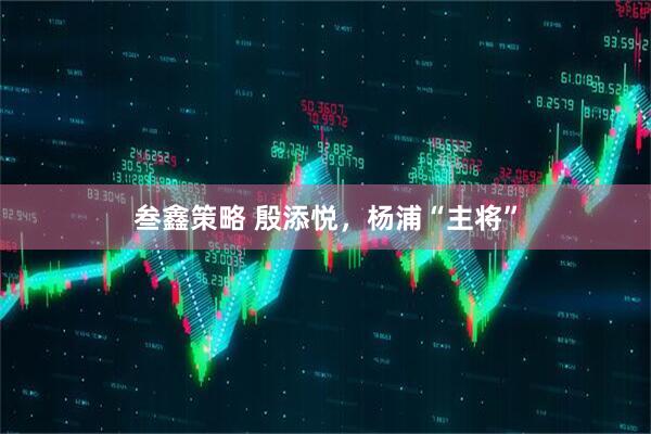 叁鑫策略 殷添悦，杨浦“主将”